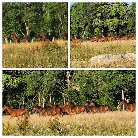 Les Naturelles Saint-Aubin-de-Locquenay Buitenkant foto