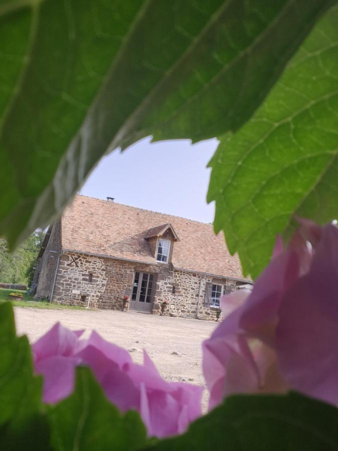 Les Naturelles Saint-Aubin-de-Locquenay Buitenkant foto
